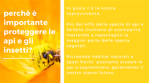 Castelnuovo Amico delle api