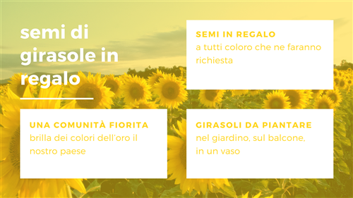 Fiori nei giardini